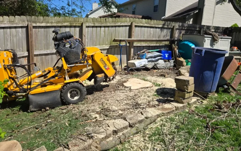 Stump Grinding (1)